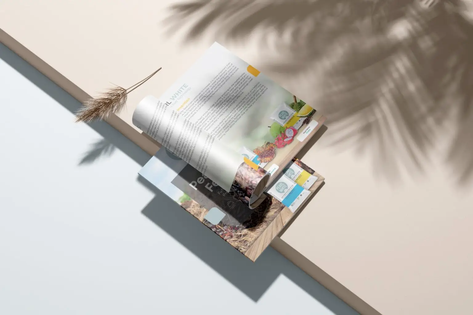 Magazine_Mockup_7_-min