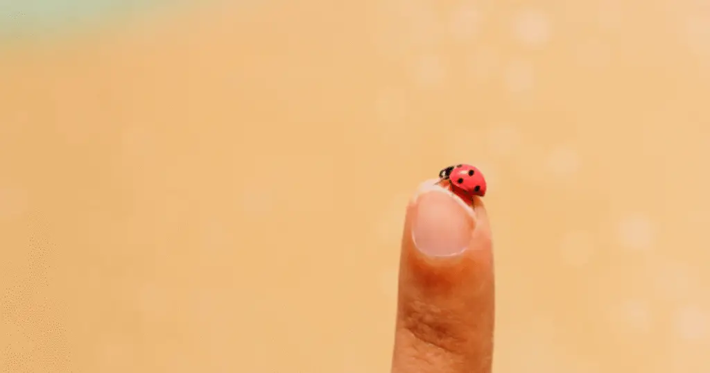 Your Business Looks Small Because Your Branding Feels Small